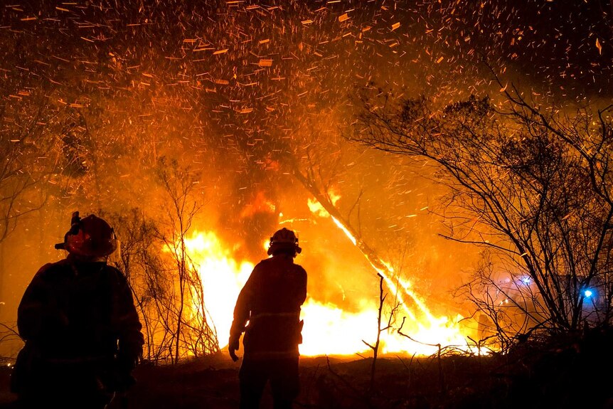 Silhouette of two firefighters with the sky lit up behind them as a flaming tree is pushed over.