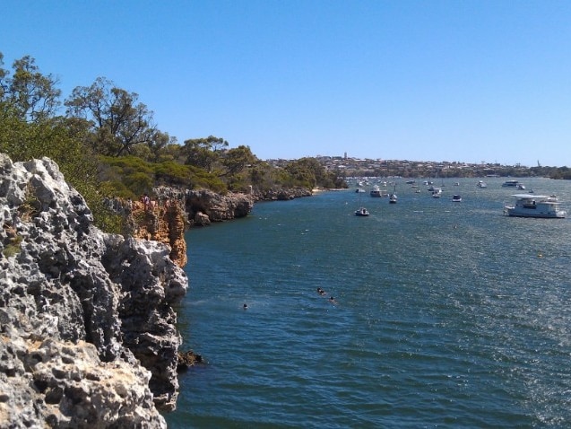 The cliffs at Blackwall Reach, a popular cliff diving and swimming area in Bicton, Perth.