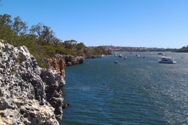 The cliffs at Blackwall Reach, a popular cliff diving and swimming area in Bicton, Perth.