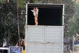 Eight-year-old female giraffe Asali the giraffe leaves Perth Zoo to join a herd in the open range Monarto Zoo in South Australia.