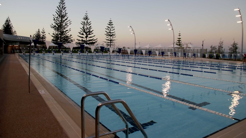 A pool at sunrise with Norfolk pine trees silhouetted it the background.