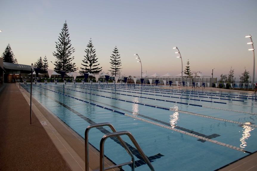 A pool at sunrise with Norfolk pine trees silhouetted it the background.