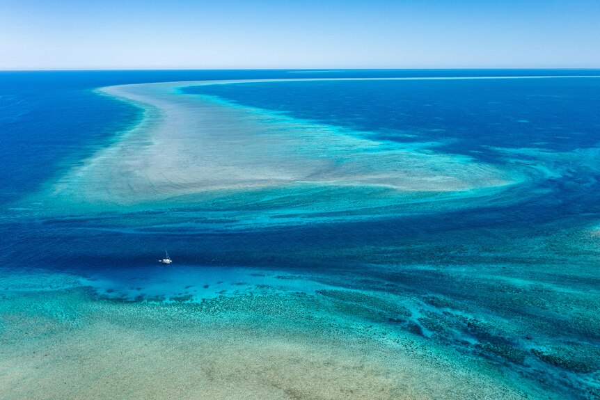 An aerial view looking down at a large reef system stretching into the distance in the middle of the ocean and a white catamaran