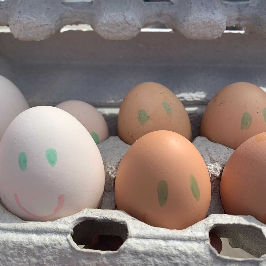 Close up of carton of eggs decorated with smiley faces