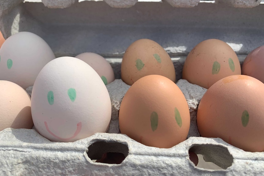 Close up of carton of eggs decorated with smiley faces