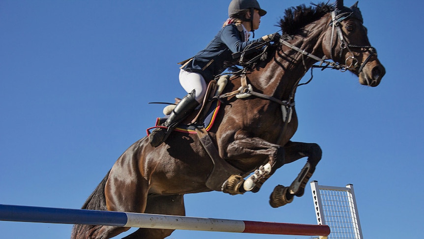 A horse leaps over a jump