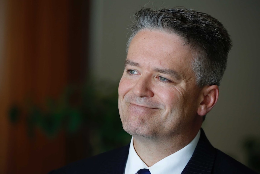 Mathias Cormann smiling