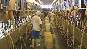 China dumps dairy milk