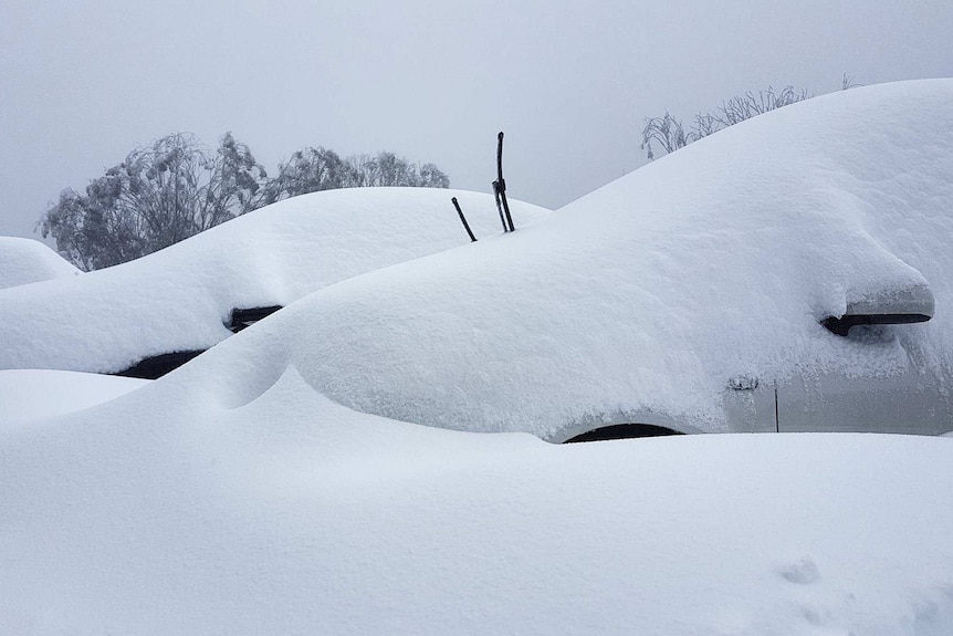 Cars are buried by snow at Falls Creek, their antennas are sticking out from under the snow