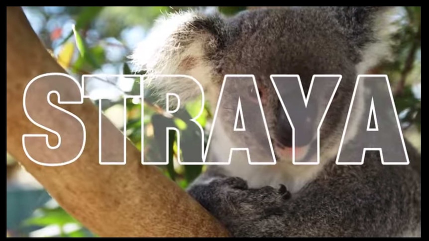 Video still from 'Straya' by Terry Mann