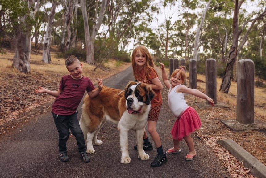 Three children make funny poses while standing with a large dog in a park