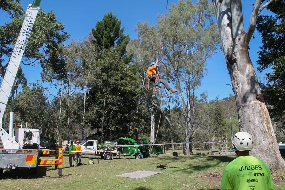 Queensland Tree Climbing Championships pushes arborists to new heights ...