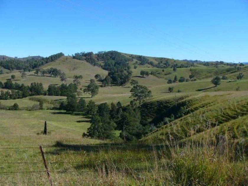 Dungog Resident Keen To Keep Part Of Tillegra Dam Land Open To The Public Abc News