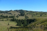 Part of the Tillegra Valley which will be flooded if a dam project goes ahead