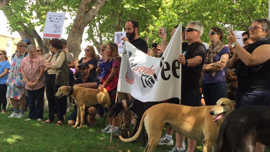 Protestors hold signs and bring their greyhounds to a rally calling for an end to the sport.