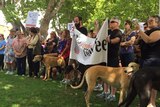 Protestors hold signs and bring their greyhounds to a rally calling for an end to the sport.