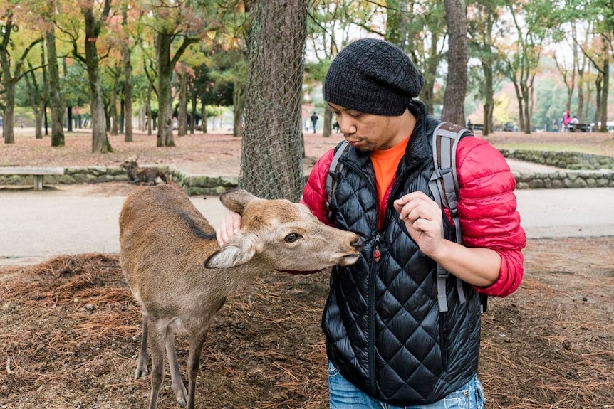 A man feeds a deer with crackers in Japan's famous Nara deer park.