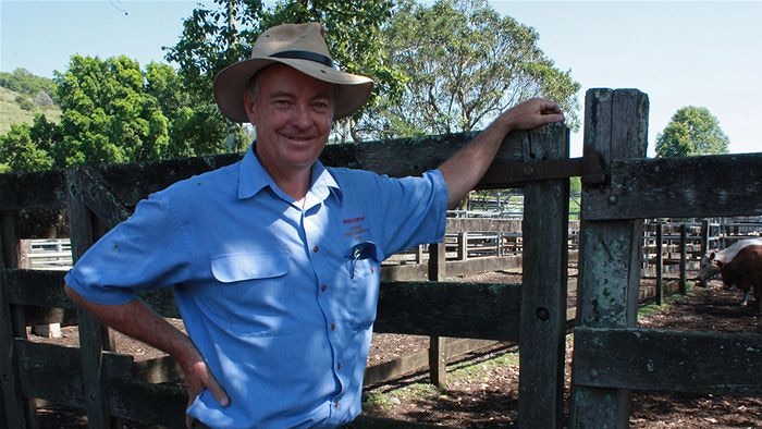 Lismore cattle producer and stock and station agent Glenn Weir