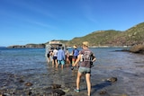 A group of people walk in shallow water towards a boat with an island in the background