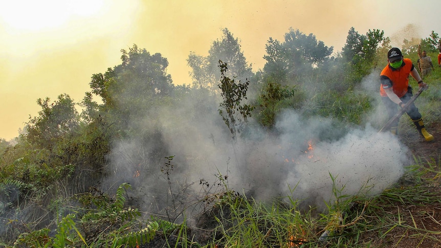 Firefighters try to extinguish brush fires in Kampar, Riau province, Indonesia.