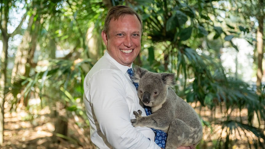 An image of a smiling man wearing a white business shirt holding a grey koala with greenery in the background.