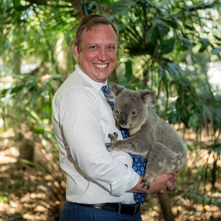 An image of a smiling man wearing a white business shirt holding a grey koala with greenery in the background.
