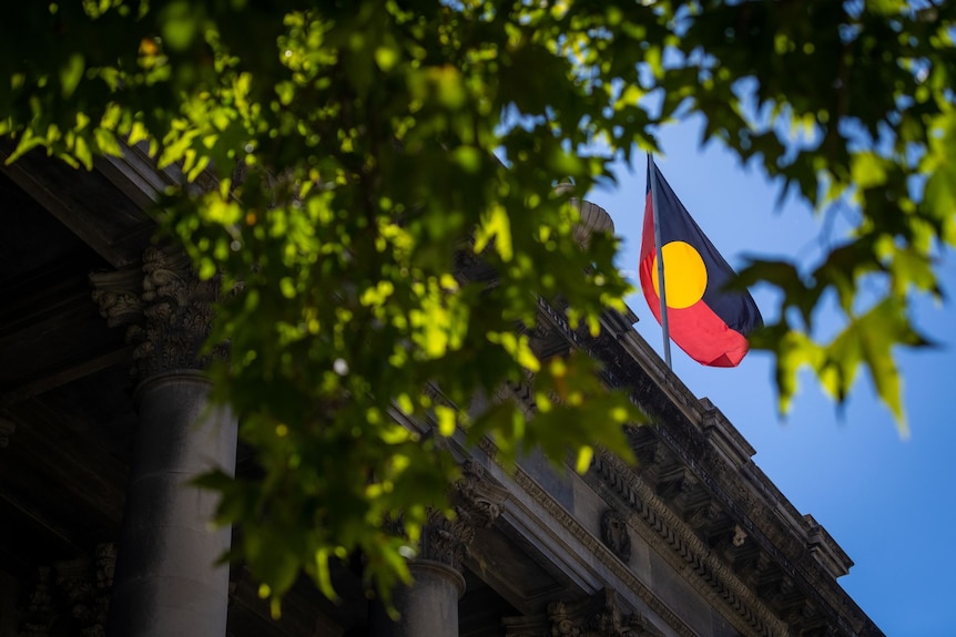 Aboriginal flag flying on top of a building with leaves of a tree in the foreground.