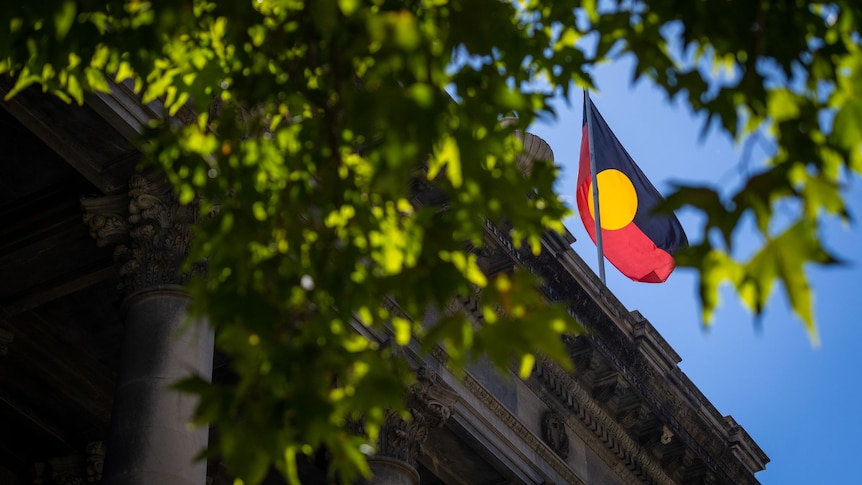 飘扬的澳大利亚原住民旗帜。