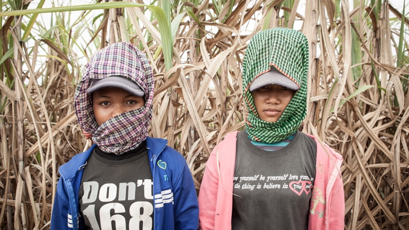 Two female Cambodian sugar cane workers.
