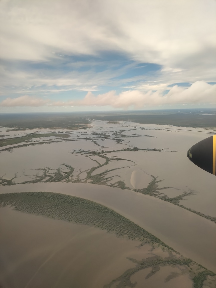 Una vista aérea de un sistema fluvial en una vasta costa