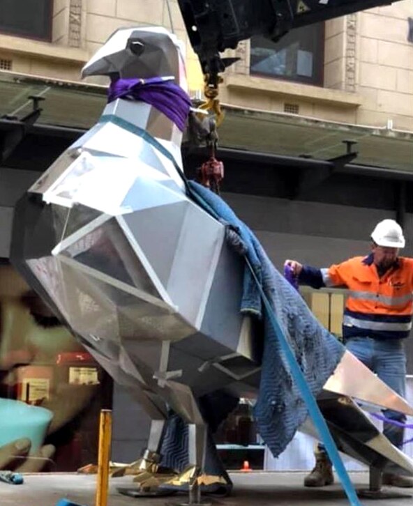 Adelaide's big pigeon unveiled as latest addition to Rundle Mall ABC News