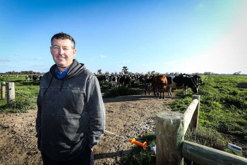 A man in work clothes stands in front of cows in a paddock.