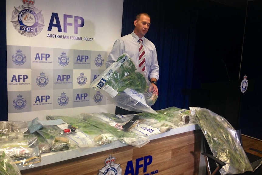 Detective Sergeant Shane Scott with cannabis plants seized from a home in Richardson in Canberra.