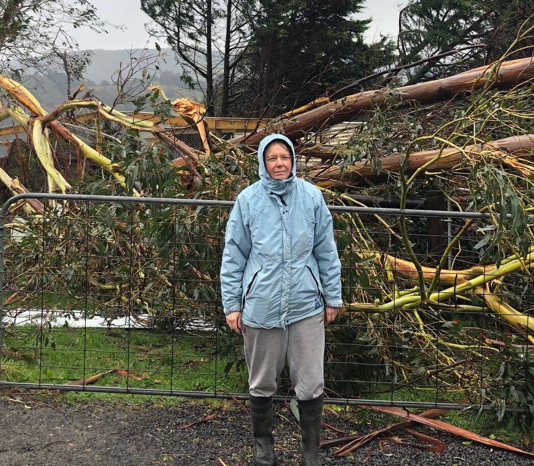 Scores Of Victorian Property Owners Like Kelly Are Still Waiting For Help After A Wild Storm Abc News