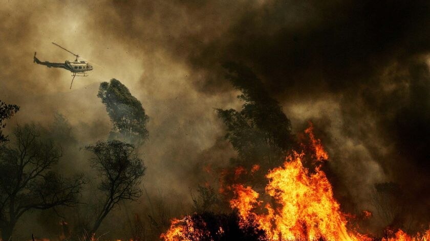 Governor Arnold Schwarzenegger has asked George W Bush to upgrade California's wildfires to a major disaster.