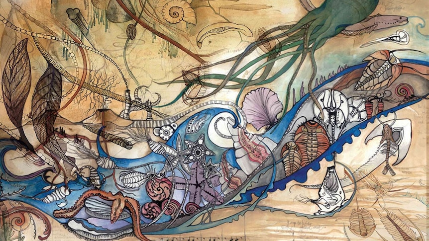 An Aviva Reed illustration, featuring shells, leaves and jelly fish.