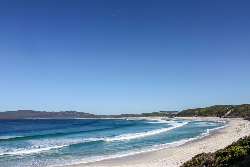 Looking out at a large ocean bay on a sunny day.