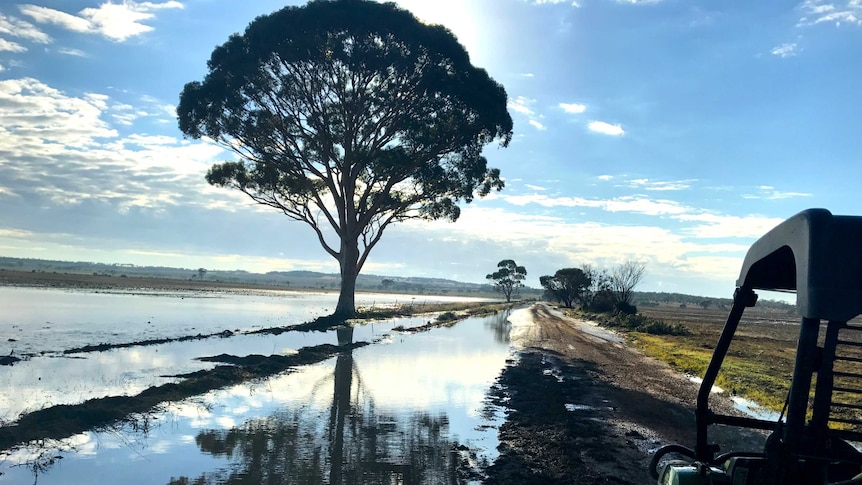 Water over the road after flash flooding in WA wheatbelt shire Kellerberrin