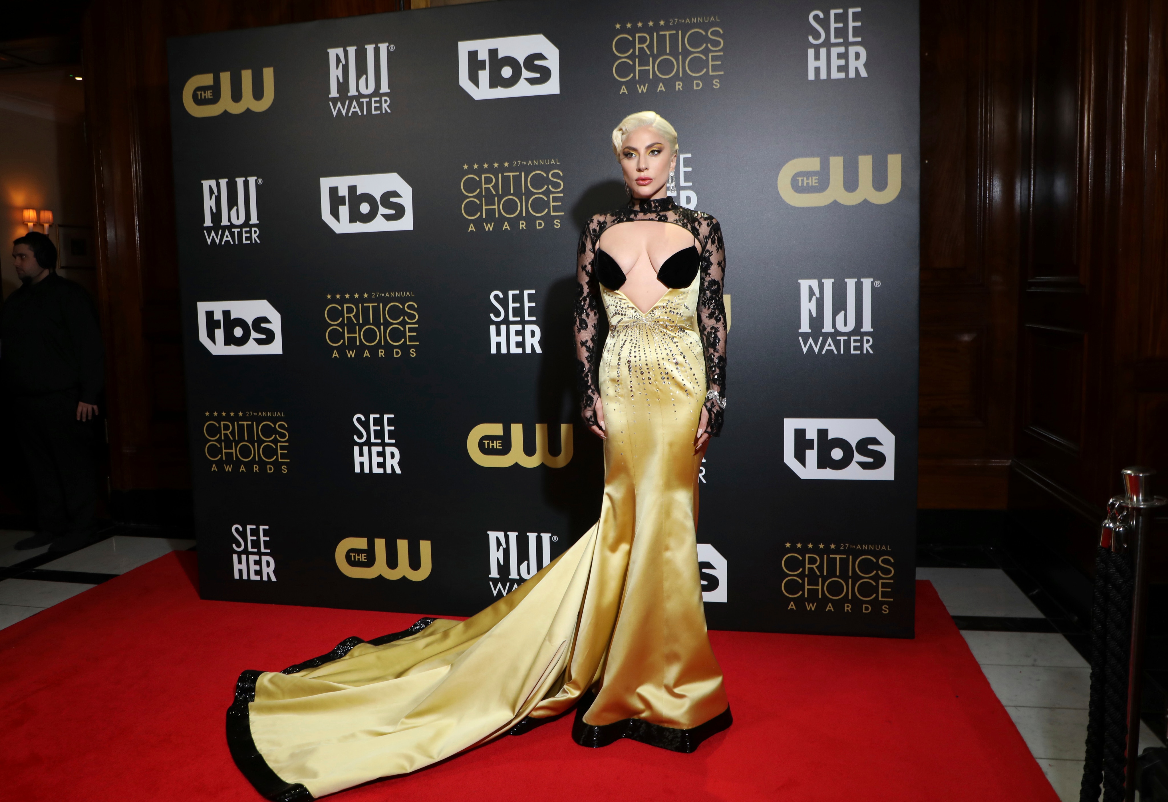 Lady Gaga poses in a gold and lace gown.