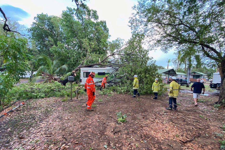 SES workers in high-vis gear work near a fallen tree.