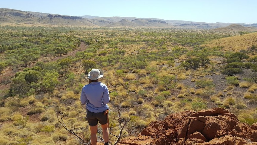 woman in a hat looking at hills