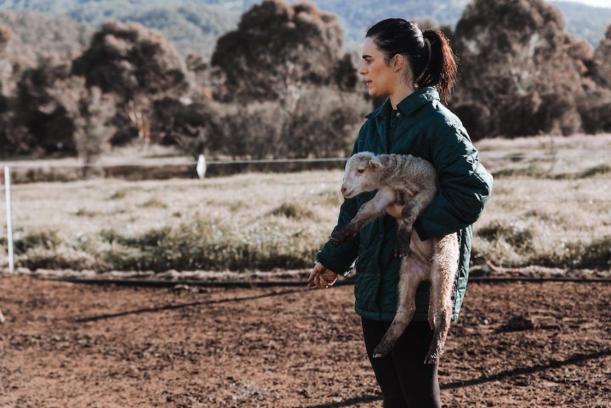 A woman in wet weather gear holds a lamb on a farm.