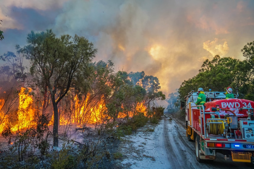 A Walcliffe fire engine in a fire break close to the flames