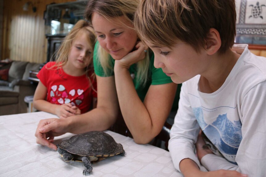 A woman and two children look at a turtle on the table in front of them.