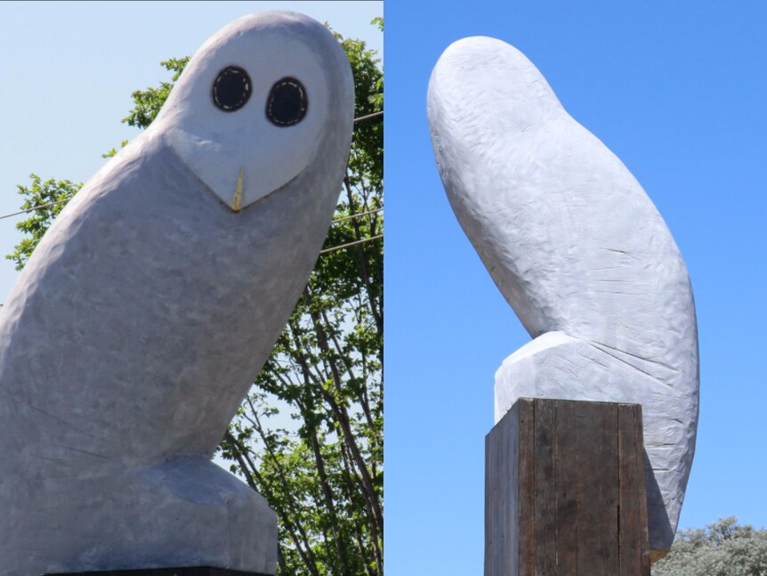 Composite of phallic-shaped owl statue in Canberra.