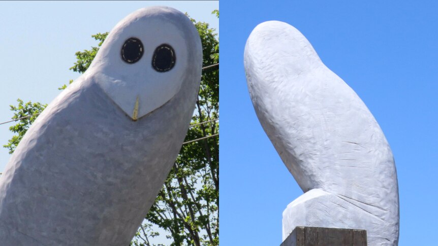 Composite of owl statue in Canberra
