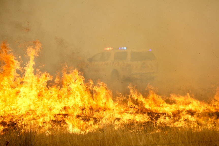 A NSW RFS car, lights on, seen through flames and smoke.