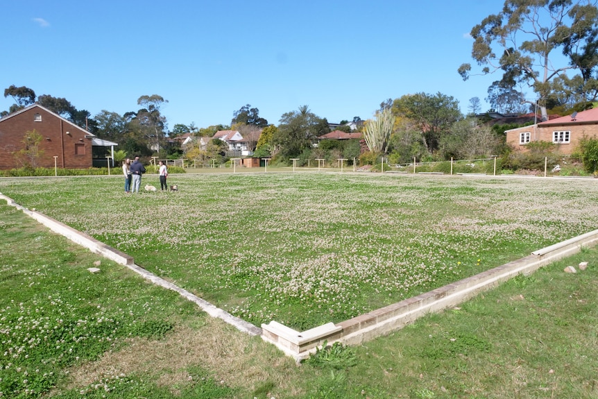 Three people stand on a disused bowling green.