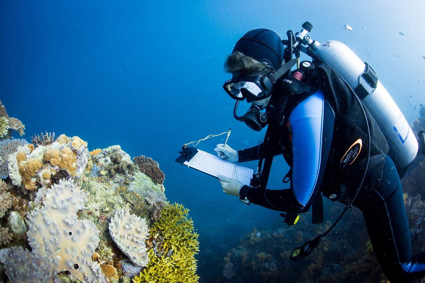 Extensive marine survey finds Fiji coastal areas in decline