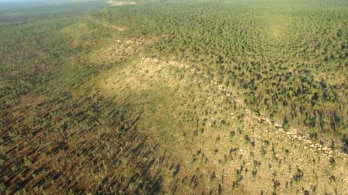 Country Liberals push for mining in national parks